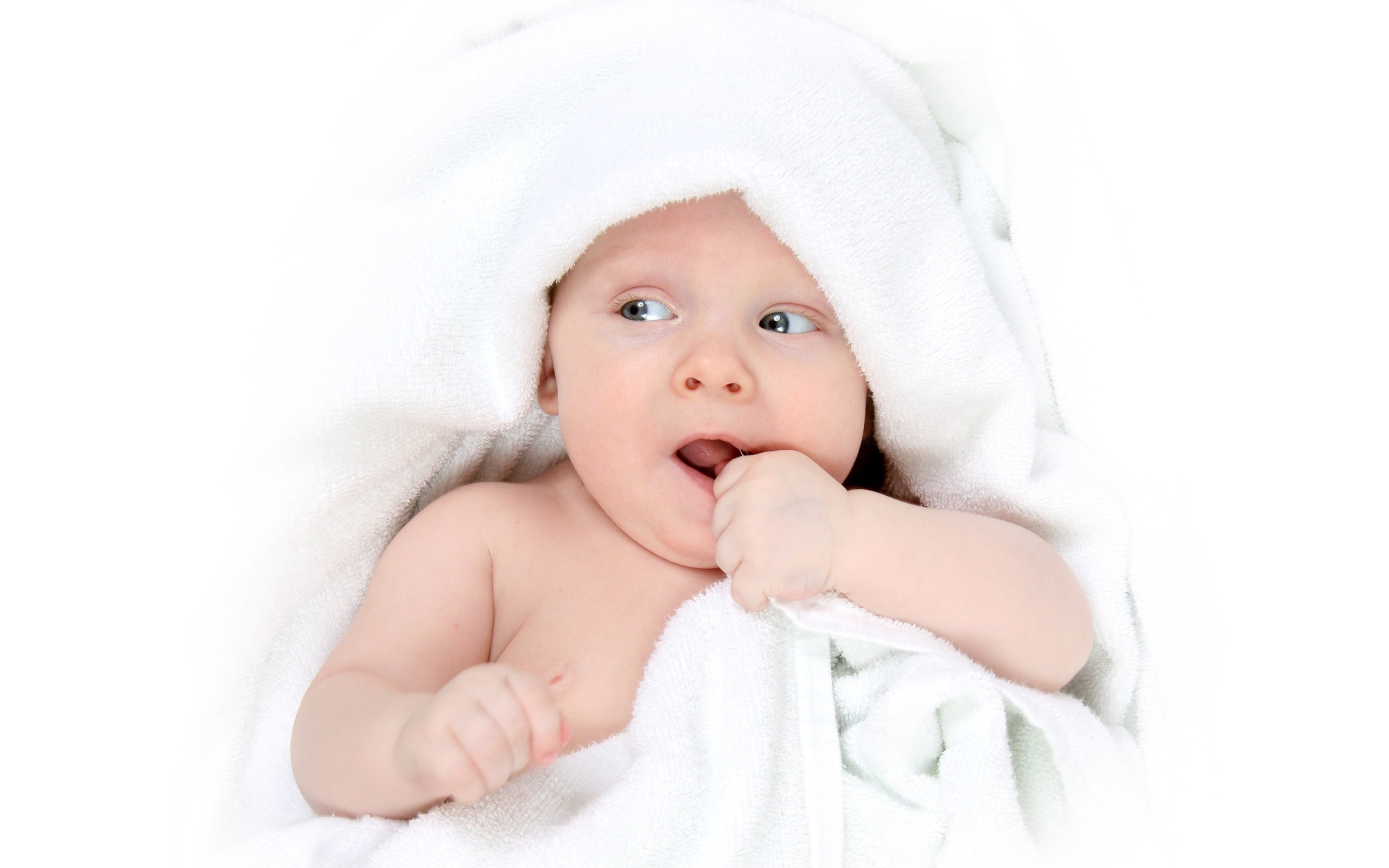 温州助孕供卵试管婴儿的一次成功率